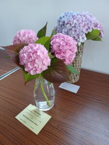 Flowers in a clear vase
