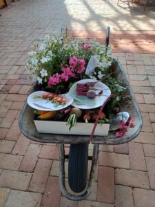 Flowers and vegetables in a wheel barrow