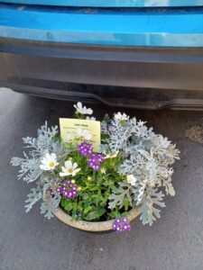 Flowers in a pot on the floor