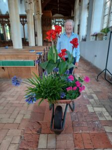 Wheel barrow full with plants