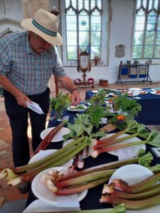 Vegetables laid out on table