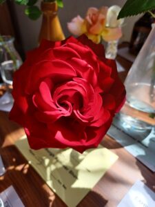 Close up of a red rose