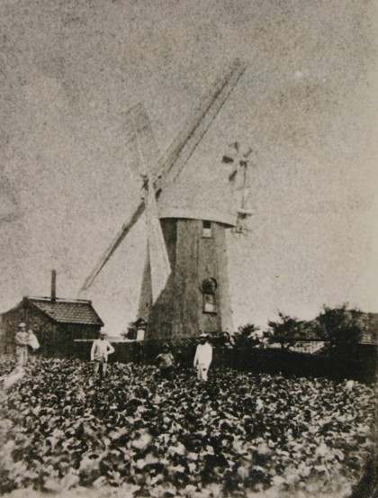 Blythburgh Mill in Dunwich Road, around 1870